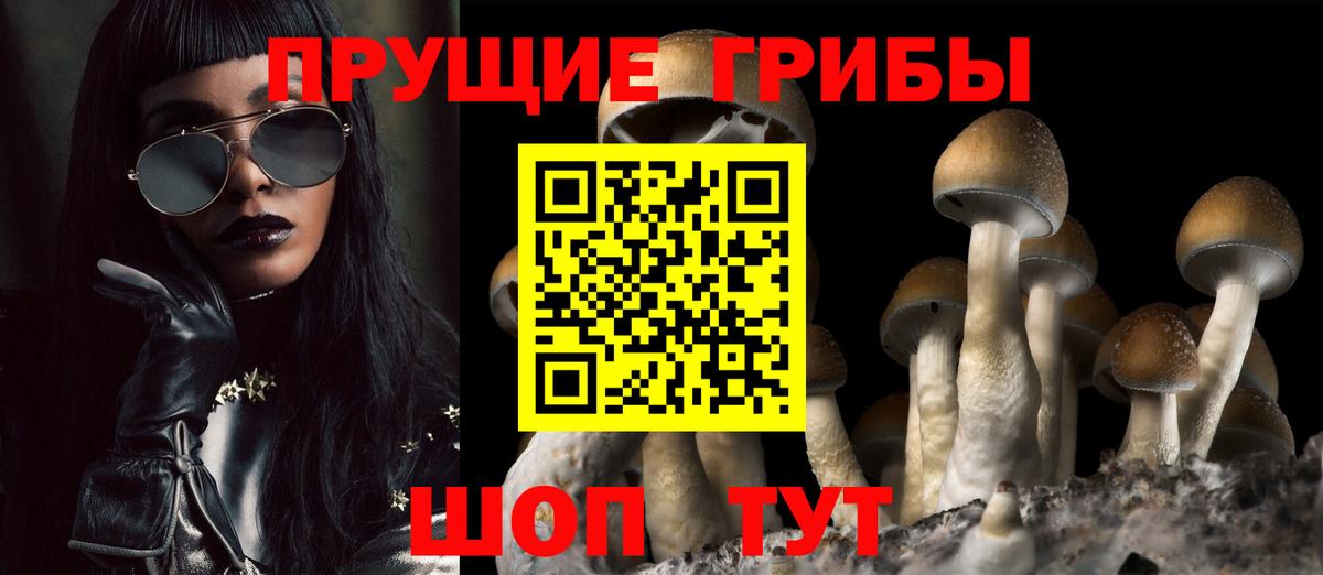 Галлюциногенные грибы прущие грибы  Вход с VPN  Псилоцибиновые грибы мицелий  Жигулёвск 